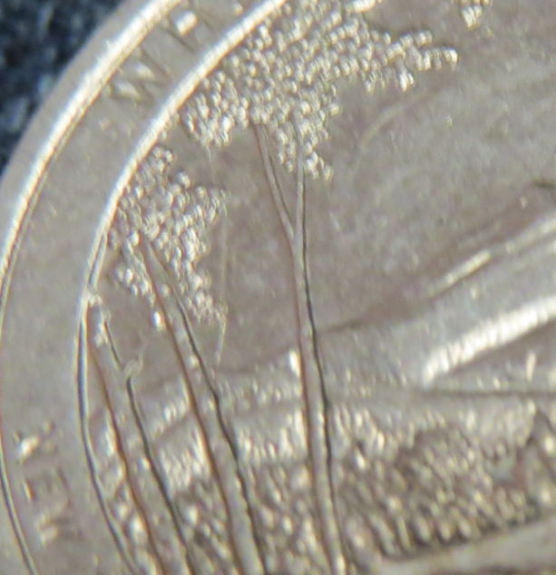 Extra-Tree-2013-New-Hampshire-State-Quarter